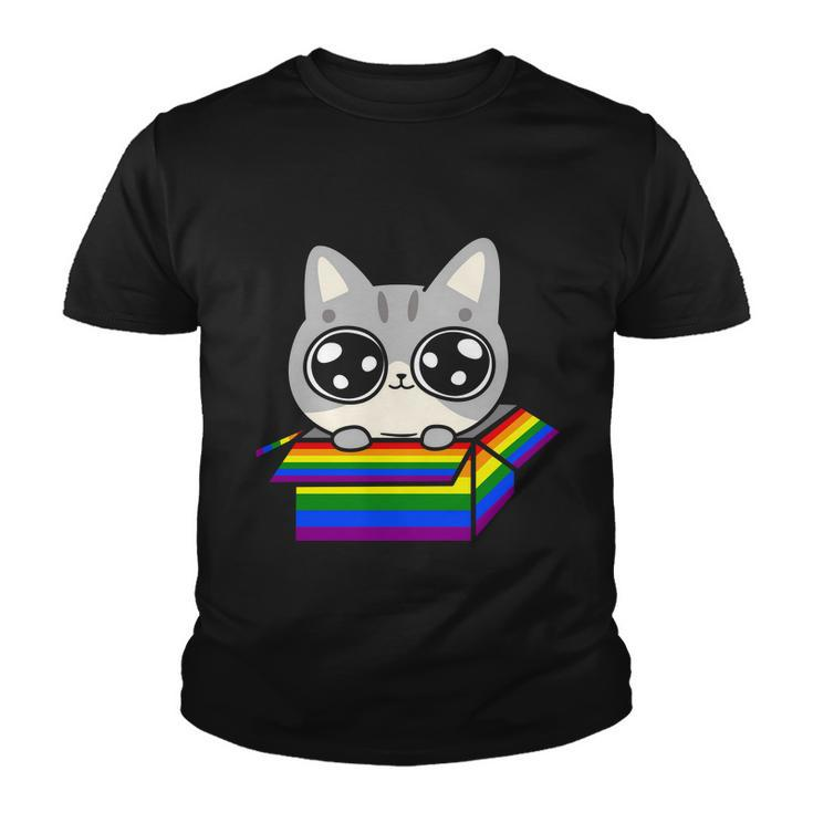 Pride Month Gay Cat In The Lgbt Youth T-shirt