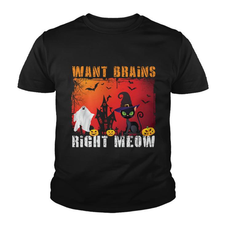 Want Brains Right Meow Cat Halloween Quote Youth T-shirt