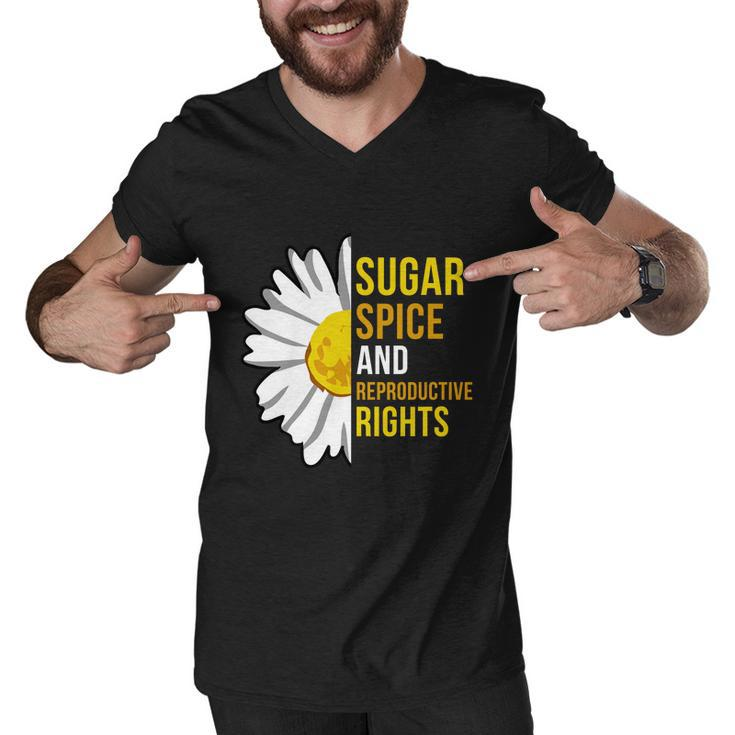 Sugar Spice And Reproductive Rights Gift Men V-Neck Tshirt