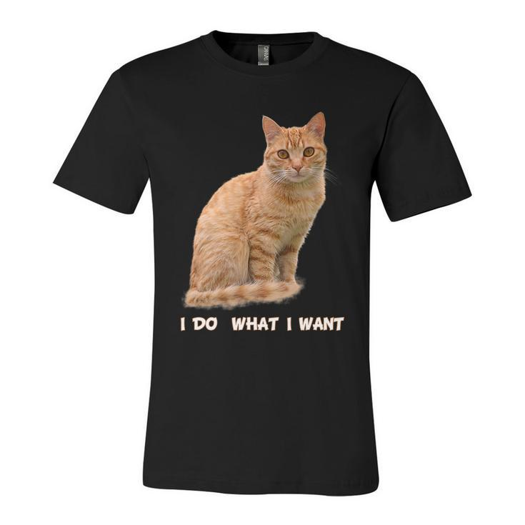 Do What I Want Funny Orange Tabby Cat Lovers Gifts Unisex Jersey Short Sleeve Crewneck Tshirt