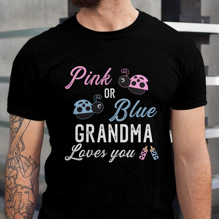 Pink Or Blue Grandma Loves You Ladybug Gender Reveal Party Gift Unisex Jersey Short Sleeve Crewneck Tshirt