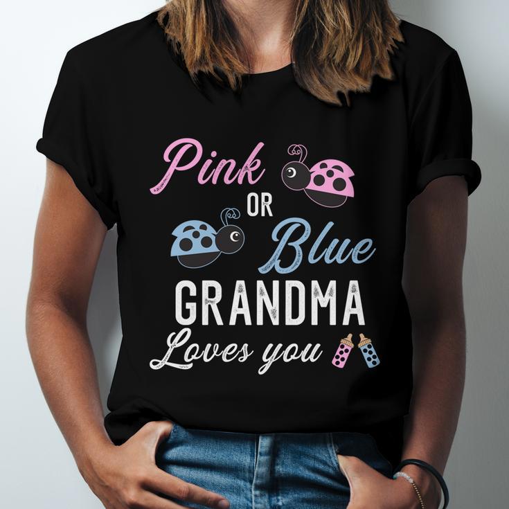 Pink Or Blue Grandma Loves You Ladybug Gender Reveal Party Gift Unisex Jersey Short Sleeve Crewneck Tshirt