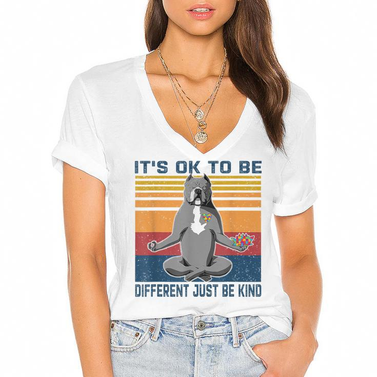 Its Ok To Be Different Just Be Kind Kindness - Pitbull Dog  Women's Jersey Short Sleeve Deep V-Neck Tshirt