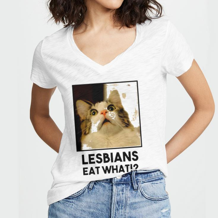 Lesbian Eat What Funny Cat Women's Jersey Short Sleeve Deep V-Neck Tshirt