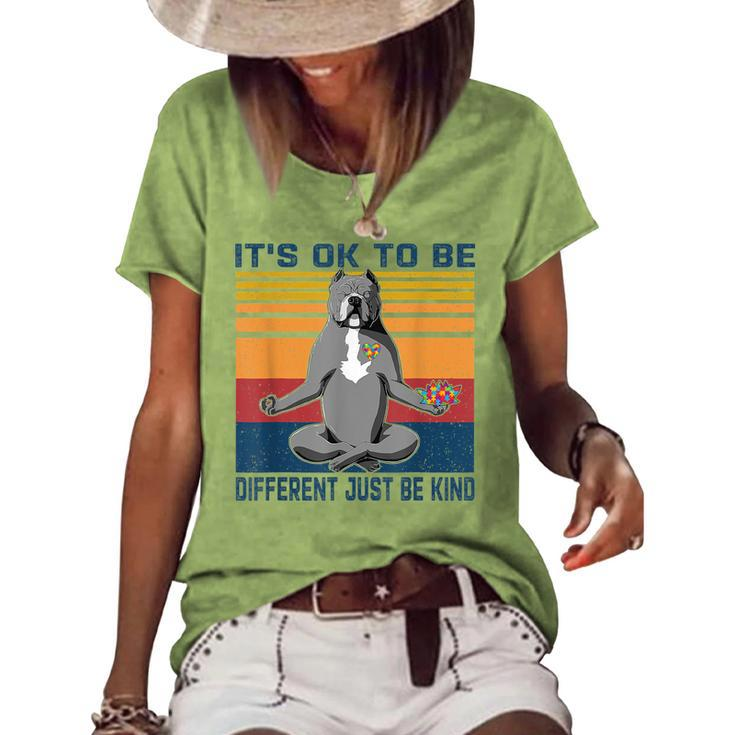 Its Ok To Be Different Just Be Kind Kindness - Pitbull Dog  Women's Short Sleeve Loose T-shirt