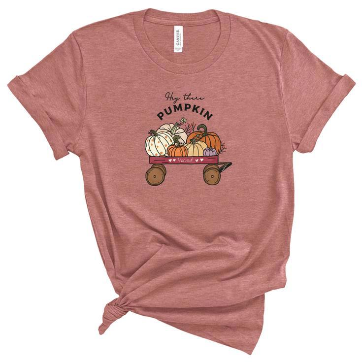 Hey There Pumpkin Farm Harvest Fall Women's Short Sleeve T-shirt Unisex Crewneck Soft Tee