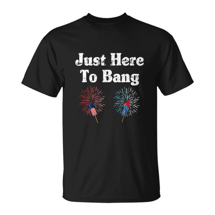 4Th Of July 2022 Just Here To Bang Unisex T-Shirt