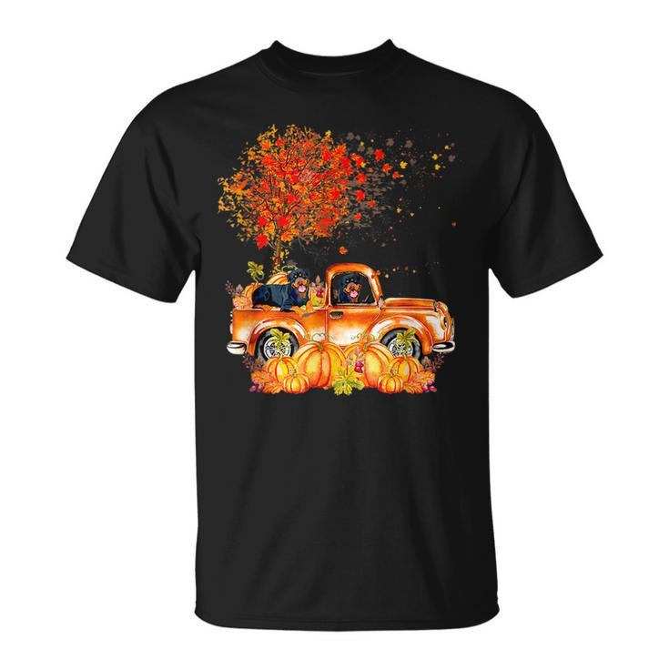 Cute Rottweiler Dog On Pumpkins Truck Autumn Leaf Fall T-shirt