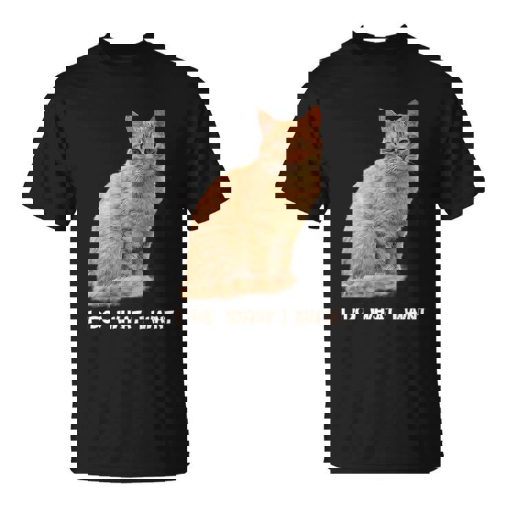 Do What I Want Funny Orange Tabby Cat Lovers Gifts Unisex T-Shirt