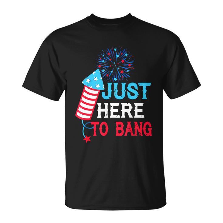 Im Just Here To Bang Funny 4Th July American Flag Unisex T-Shirt