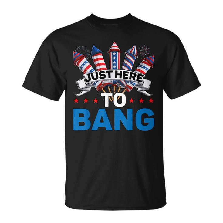 Just Here To Bang 4Th Of July Funny Firework Fourth July  Unisex T-Shirt