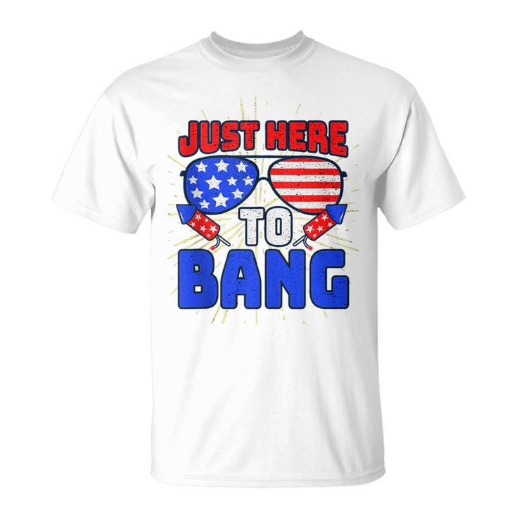 Im Just Here To Bang 4Th Of July Fireworks Fourth Of July  Unisex T-Shirt