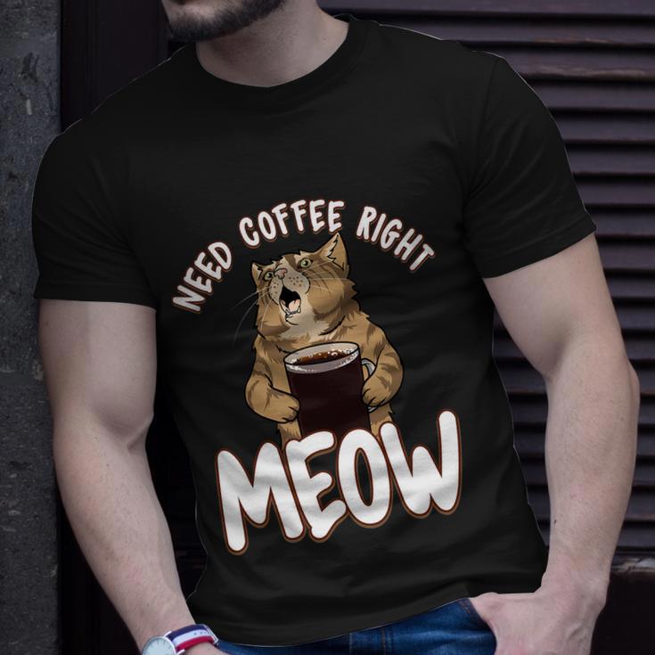 Need Coffee Right Meow Funny Coffee Cat Quote For Cat Lover Unisex T-Shirt Gifts for Him