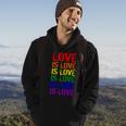 Love Is Love Rainbow Colors Hoodie Lifestyle