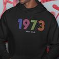 1973 Roe V Wade Pro Abortion Feminist Hoodie Unique Gifts