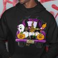 Boo Pumpkin Witch Gnomes In Halloween Truck Funny Holiday Hoodie Funny Gifts