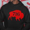 Buffalo 716 New York Football Tshirt Hoodie Unique Gifts