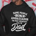 Fathers Day Design N Ambassador Dad Cute Gift Hoodie Unique Gifts