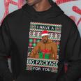 Funny I Have A Big Package For You Ugly Christmas Sweater Tshirt Hoodie Unique Gifts