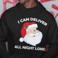 I Can Deliver All Night Long X-Mas Bad Santa Tshirt Hoodie Unique Gifts