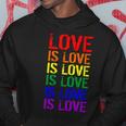 Love Is Love Rainbow Colors Hoodie Unique Gifts