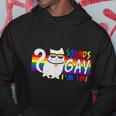 Pride Month Cat Sounds Gay I Am In Lgbt Hoodie Unique Gifts