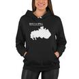 Theres Nothing Wrong With Love Built To Spill Women Hoodie