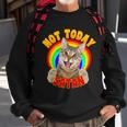 Not Today Satan Funny Cat Rainbow Sweatshirt Gifts for Old Men