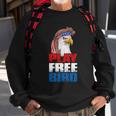 Play Free Bird Eagle Mullet American Flag 4Th Of July Gift Sweatshirt Gifts for Old Men