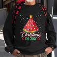 Watermelon Christmas Tree Christmas In July Summer Vacation Sweatshirt Gifts for Old Men