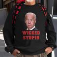 Wicked Stupid Funny Joe Biden Boston Sweatshirt Gifts for Old Men