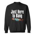 4Th Of July Fireworks Just Here To Bang Funny Firecracker Cool Gift Sweatshirt