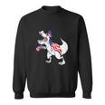 4Th Of JulyRex Dinosaur Amerisaurus Funny Sweatshirt