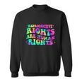 Aesthetic Reproductive Rights Are Human Rights Feminist V4 Sweatshirt