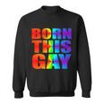 Born This Gay Pride Lgbt Tshirt Sweatshirt