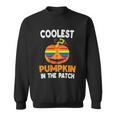 Coolest Pumpkin In The Patch Lgbt Gay Pride Lesbian Bisexual Ally Quote Sweatshirt