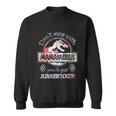 Dont Mess With Mamasaurus Youll Get Jurasskicked Lovers Sweatshirt