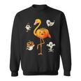 Flamingo Pumpkin Halloween Bird Lover Gifts For Girls And Boys Tshirt Sweatshirt