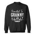 Promoted To Granny Est 2022 Soon To Be Granny Funny Gift Graphic Design Printed Casual Daily Basic Sweatshirt