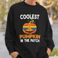 Coolest Pumpkin In The Patch Lgbt Gay Pride Lesbian Bisexual Ally Quote Sweatshirt Gifts for Him