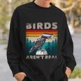 Funny Meme Birds Surveillance Truther Cctv Bird Arent Real Gift Sweatshirt Gifts for Him