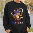 Pew Pew Pawtriotic Cat 4Th Of July Cat Day Sweatshirt Gifts for Him