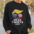 Trump 2024 Mean Tweets Usa Flag Sunglasses Funny Political Gift Sweatshirt Gifts for Him