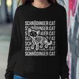 Physicists Scientists Schrödingers Katze Cute Gift V3 Sweatshirt Gifts for Her