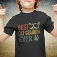 Vintage Best Cat Grandpa Ever Shirt Cat Grandpa Fathers Day Youth T-shirt