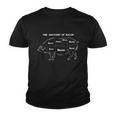 Anatomy Of Bacon Tshirt Youth T-shirt