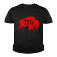 Buffalo 716 New York Football Tshirt Youth T-shirt