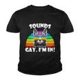 Sounds Gay Im In Rainbow Cat Pride Retro Cat Gay Funny Gift Youth T-shirt