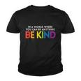 World Be Kind Rainbow Lgbt Pride Lesbian Gay Bi Trans Gift Youth T-shirt