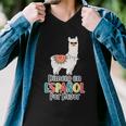 Dimelo En Espanol Por Favor Spanish Llama Men V-Neck Tshirt